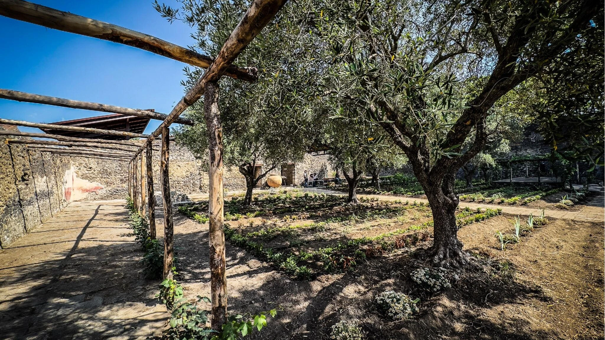 Pompei, torna a nuova vita la 'Casa del giardino di Ercole': lì si producevano e vendevano profumi
