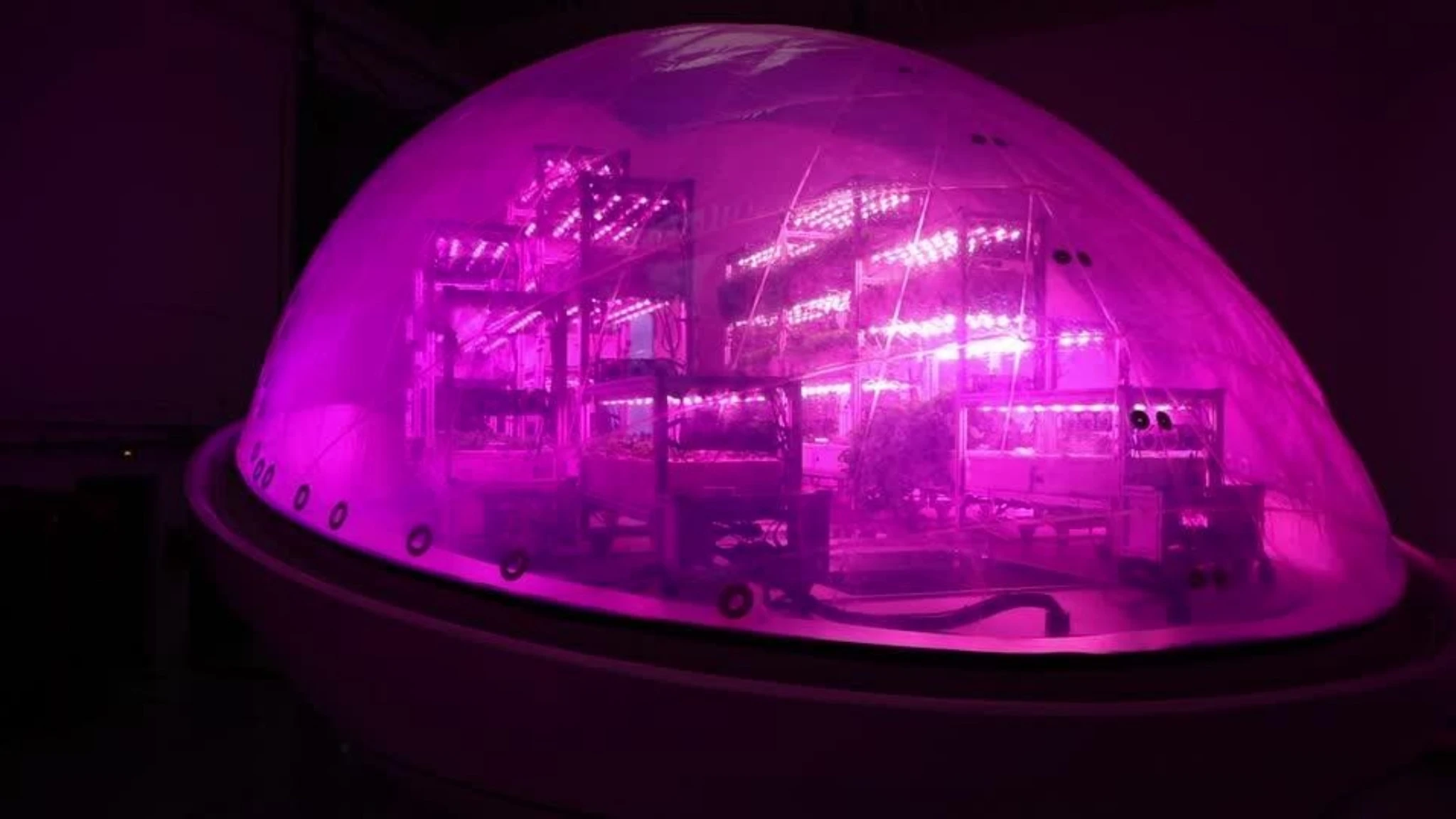 Coltivare nello spazio: nasce “BioPod”, il laboratorio interstellare dalla forma ellissoidale