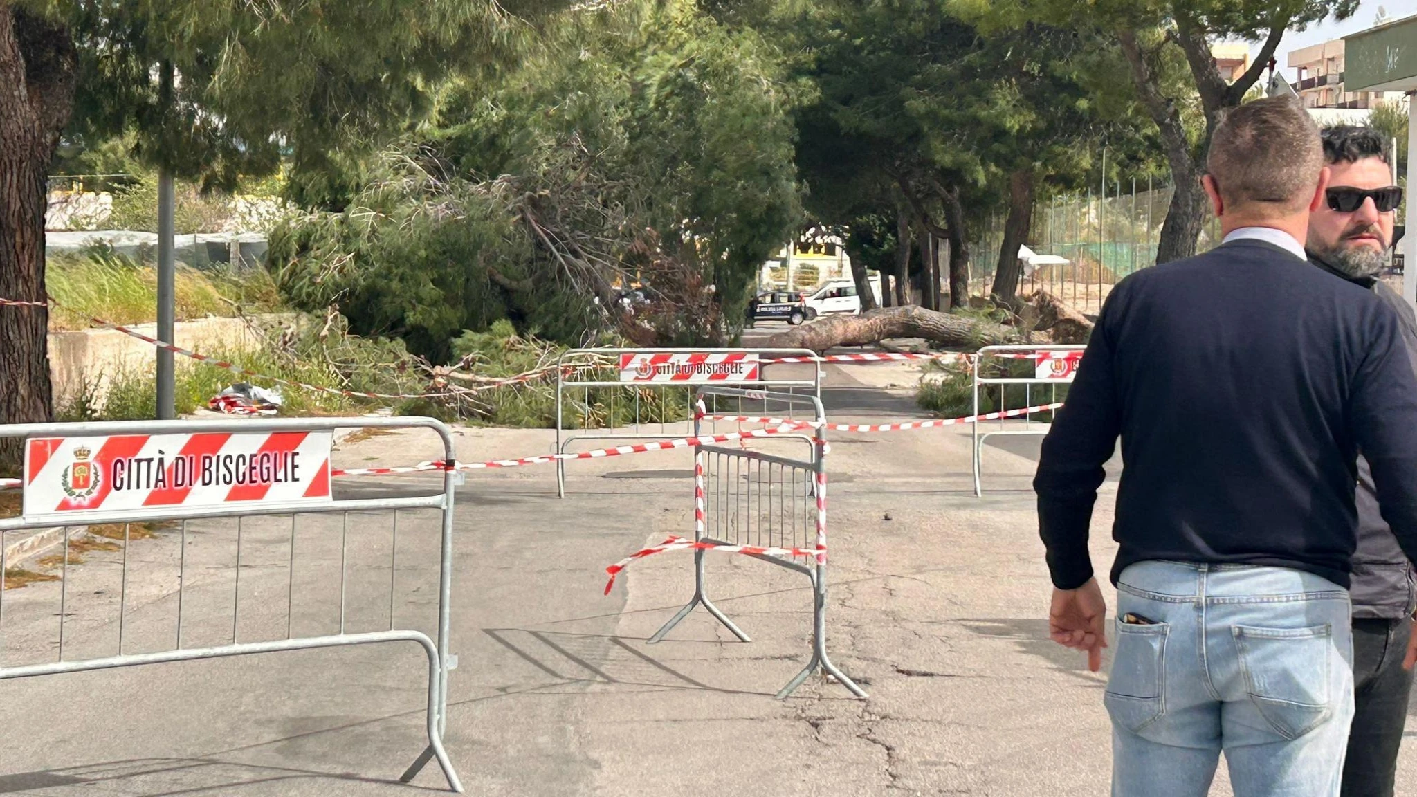 Ragazzina di 12 anni schiacciata da un albero caduto per il forte vento: era appena uscita da scuola