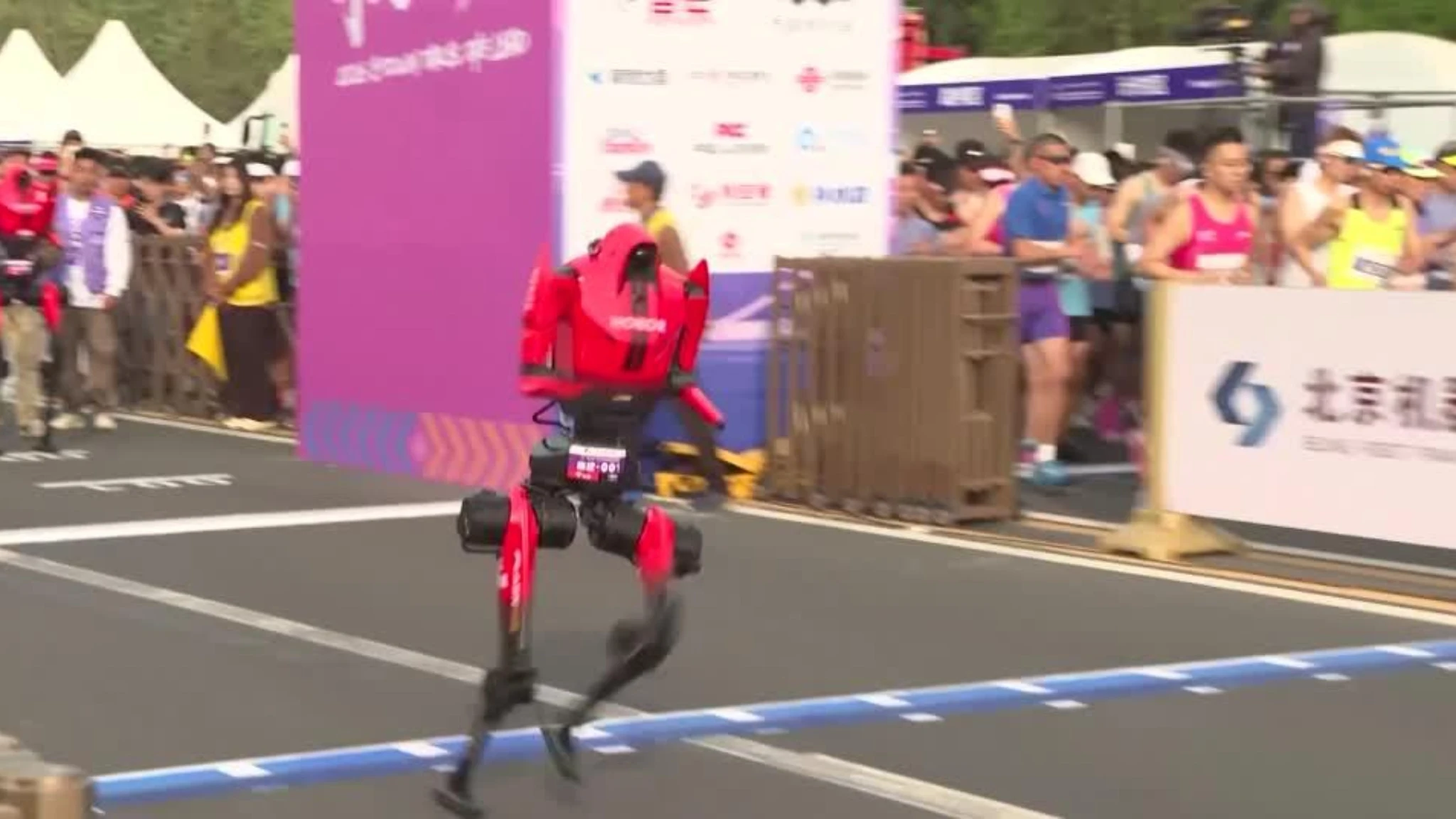 Quando a correre sono i robot: a Pechino la mezza maratona diventa futuro