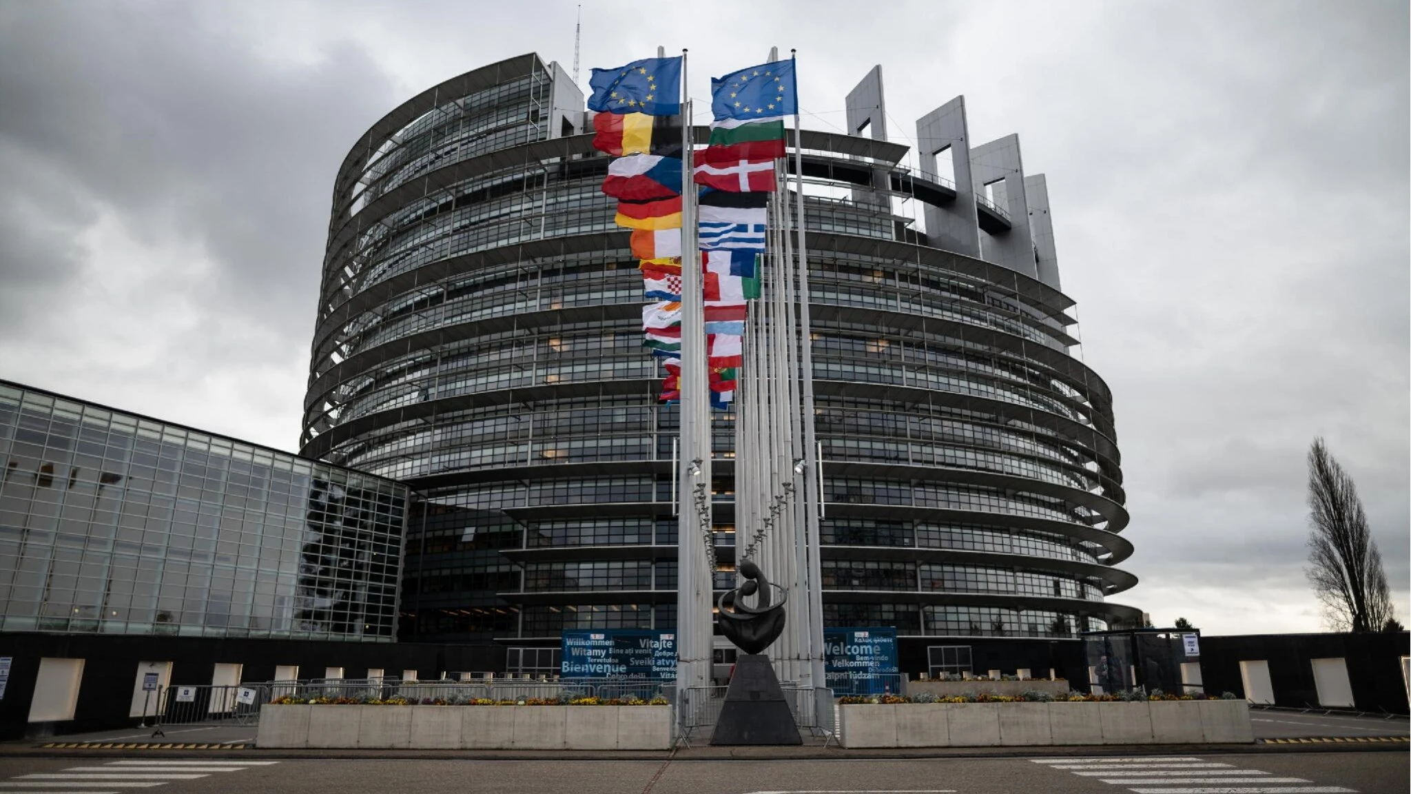 L'Italia in Europa: da Vannacci a Ilaria Salis, chi sono tutti gli eletti al Parlamento europeo