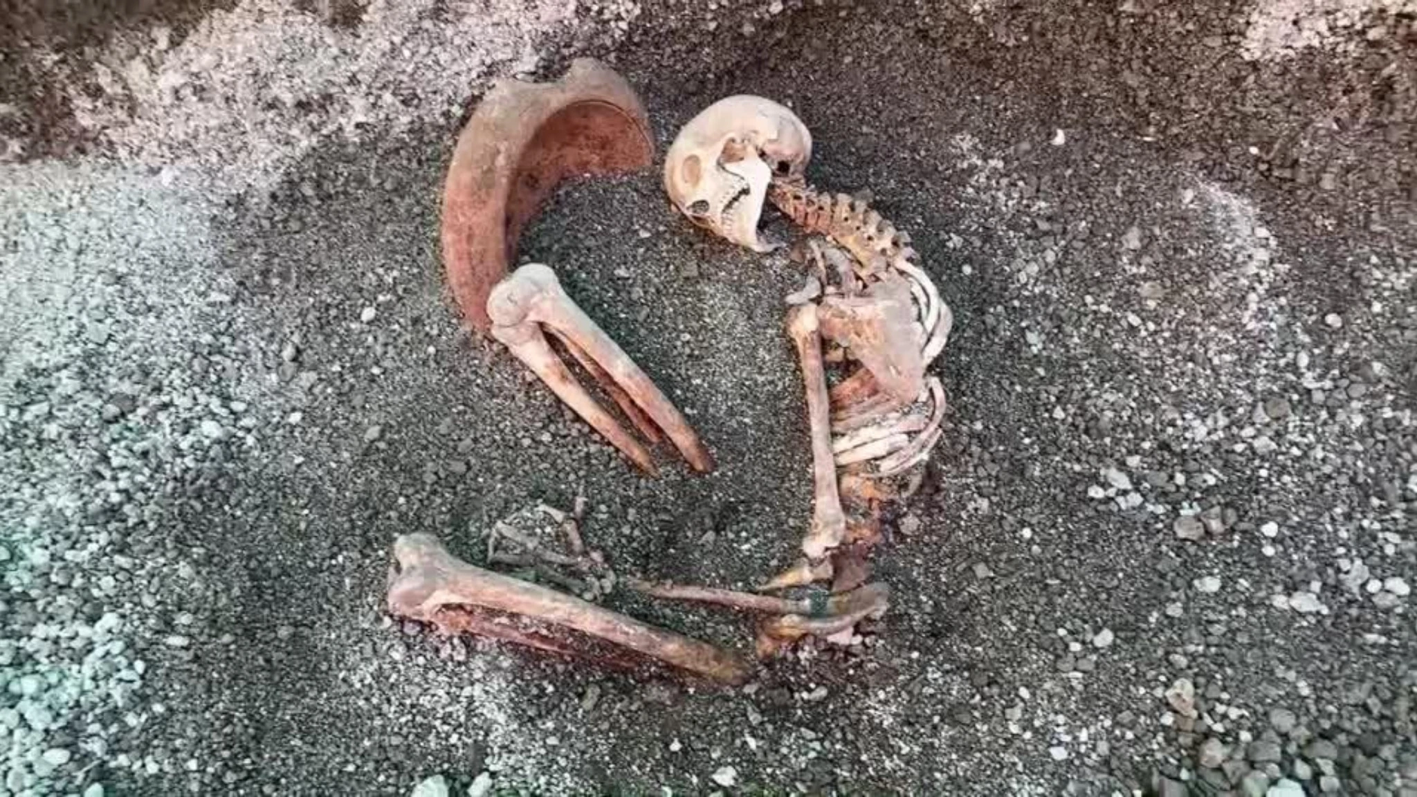 Pompei, la fuga disperata dall’eruzione rivive con l’intelligenza artificiale
