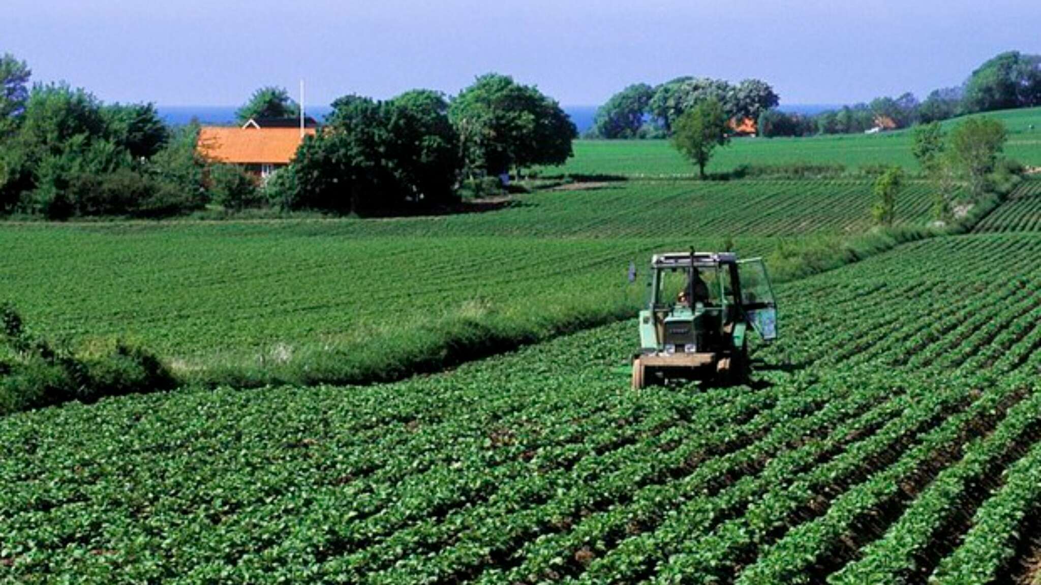 Cles, 56enne muore schiacciato dal suo trattore. L'allarme dato dalla famiglia