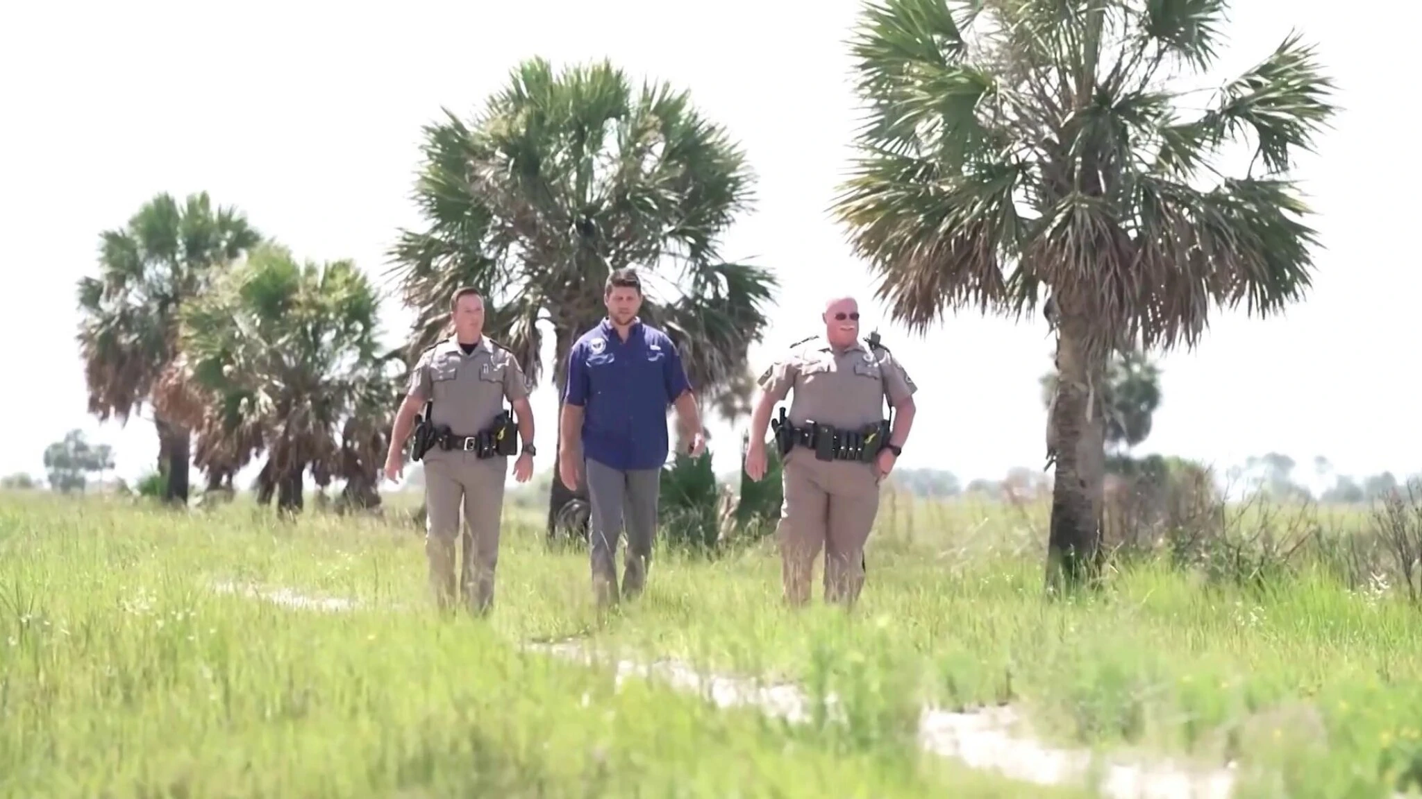 Alligator Alcatraz, tra rettili feroci e paludi nasce il carcere per stranieri senza documenti