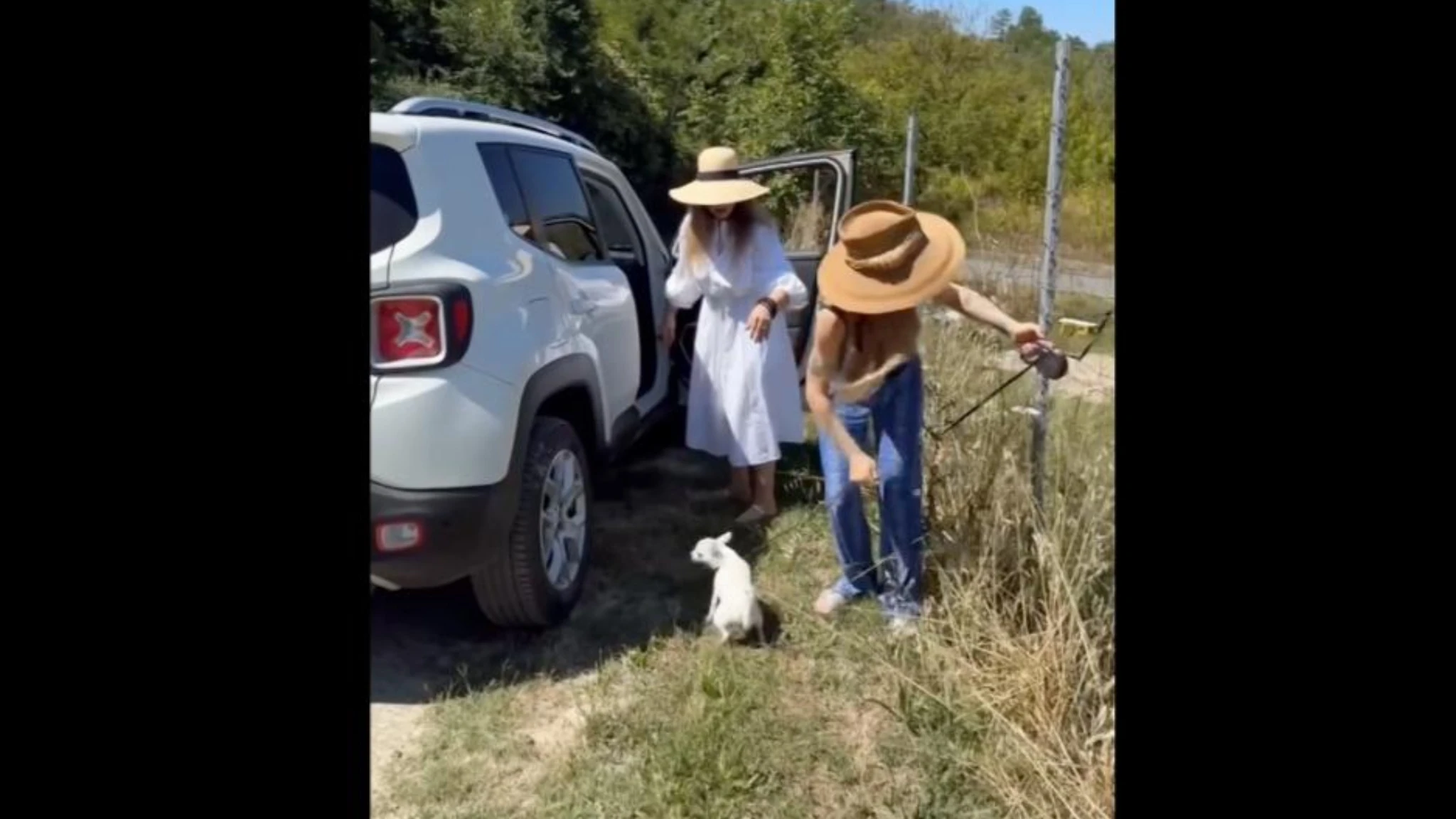 'Fuori il traditore', la campagna antiabbandono con Ornella Muti e Naike Rivelli