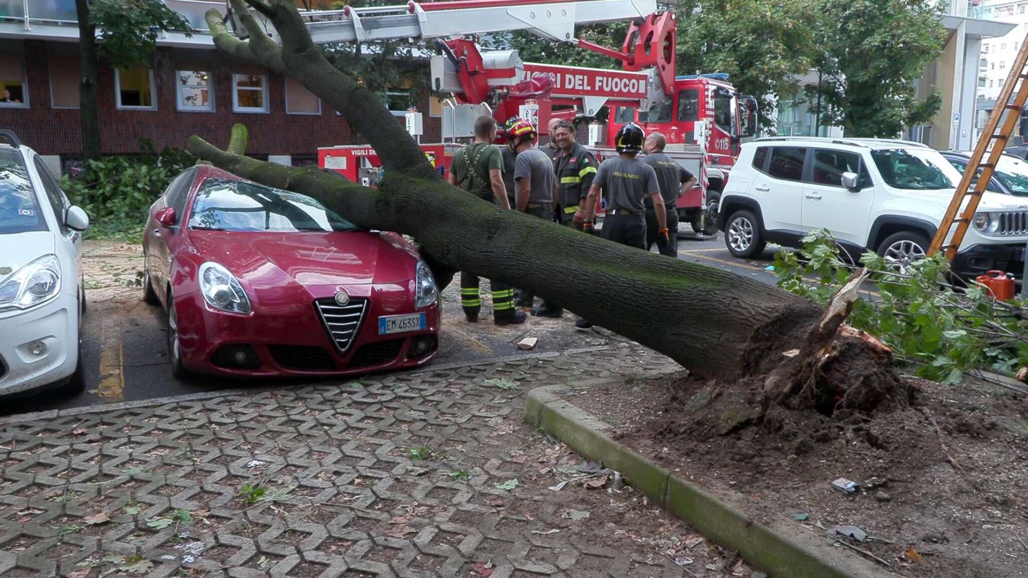 Milano, un albero cade su un'auto in sosta in via Roncaglia e la distrugge