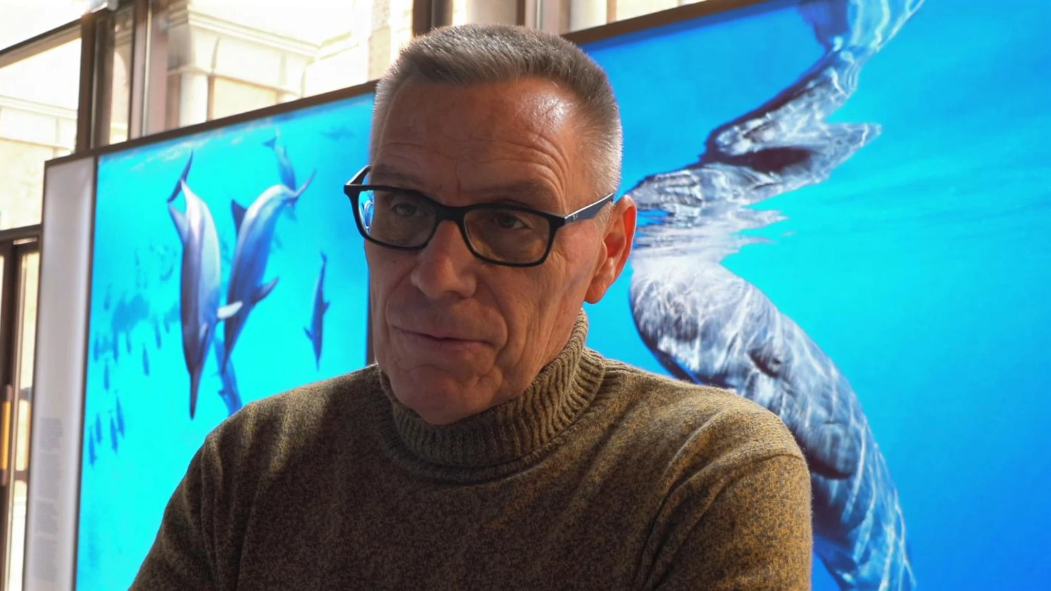 Il delfino nella laguna di Venezia, biologo marino: “Non ha paura delle barche, siamo preoccupati