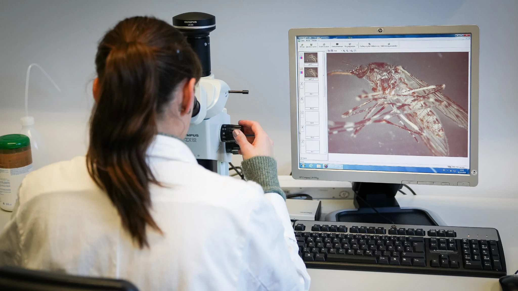 Virus West Nile, 12 nuovi casi nel Lazio, tutti a Latina. I sintomi a cui prestare attenzione
