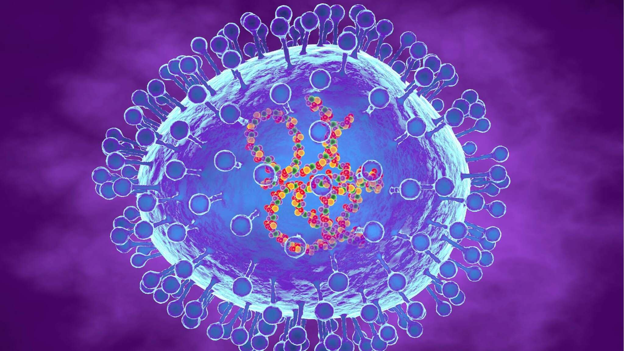  Hmpv, cos’è e come si trasmette il virus che spaventa la Cina. Oms: “Non è un nuovo virus”