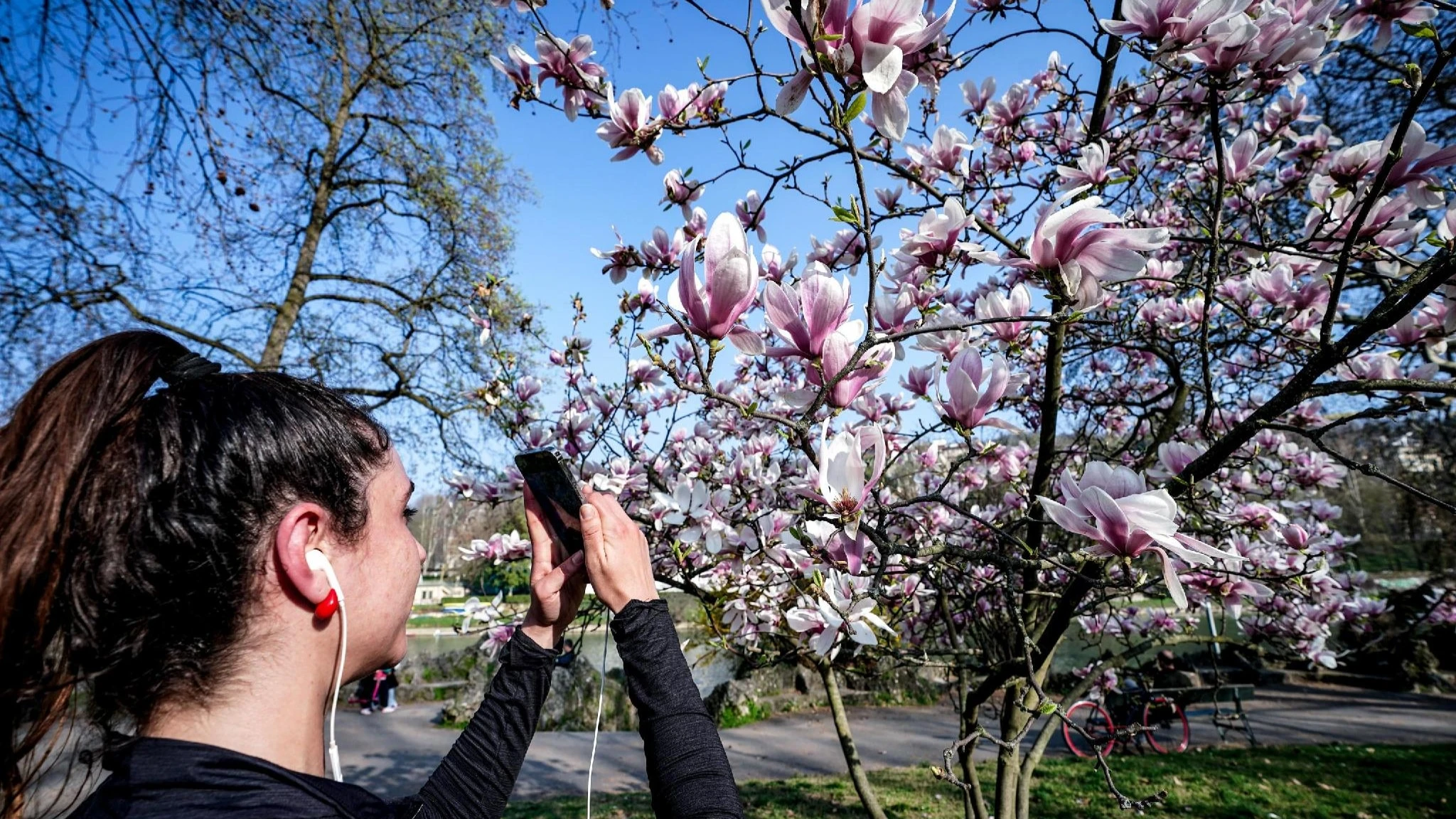 Meteo, arriva il bel tempo: sole e clima mite tra venerdì e domenica