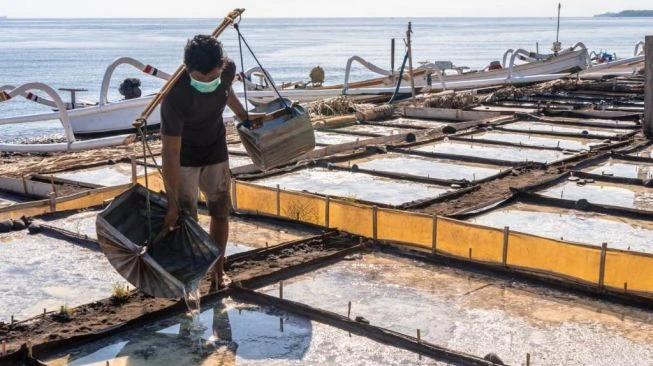 Dukung Pemulihan Ekonomi, BRI Jaring 350 Desa di Program Desa BRILiaN