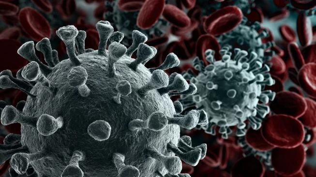 Waduh! China Tuding Amerika Serikat Bohong Tentang Asal Usul Virus Corona