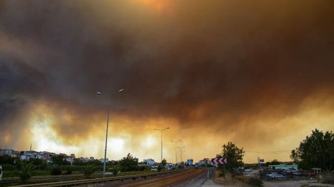 Kebakaran hutan Turki Masuki Hari ke-6, 10.000 Orang Dievakuasi