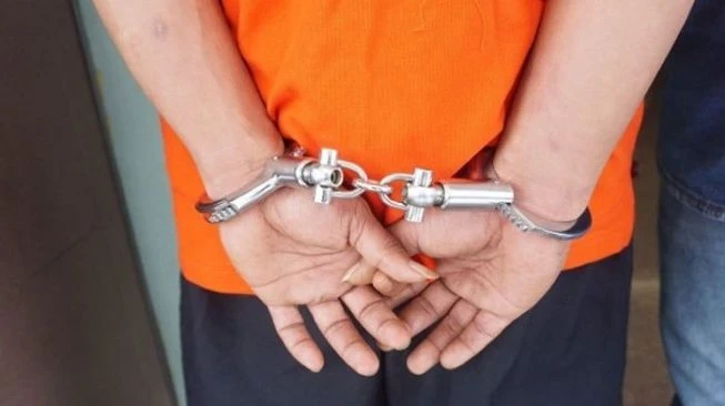 Dicurigai Lakukan Pelecehan terhadap Ibu Sendiri, Remaja 16 Tahun Ditangkap Polisi