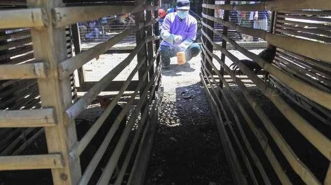 Tiongkok Temukan Kasus Flu Burung H10N3 Pertama pada Manusia