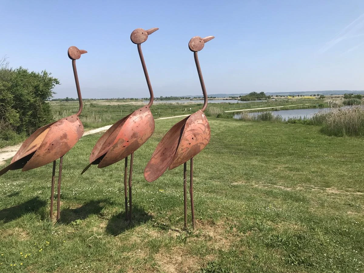 Entre terre et mer : le port de Vitrezay, escale magique sur l’estuaire de la Gironde
