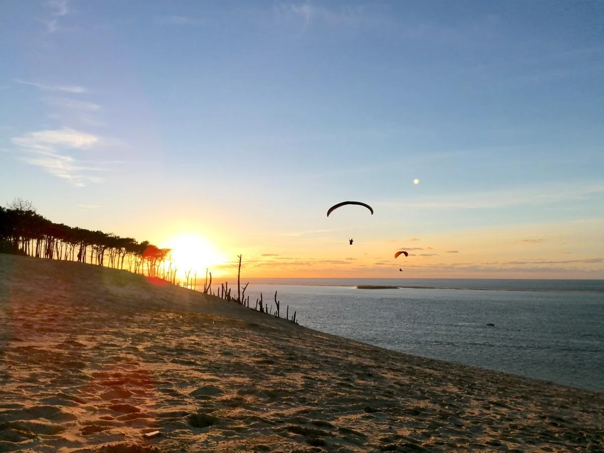 De la Dune du Pilat au cap Ferret : nos idées de sorties “nature” pour découvrir le bassin autrement