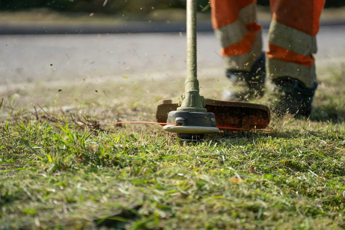 Incendies : le débroussaillement de votre jardin est obligatoire et votre voisin peut entrer le faire chez vous