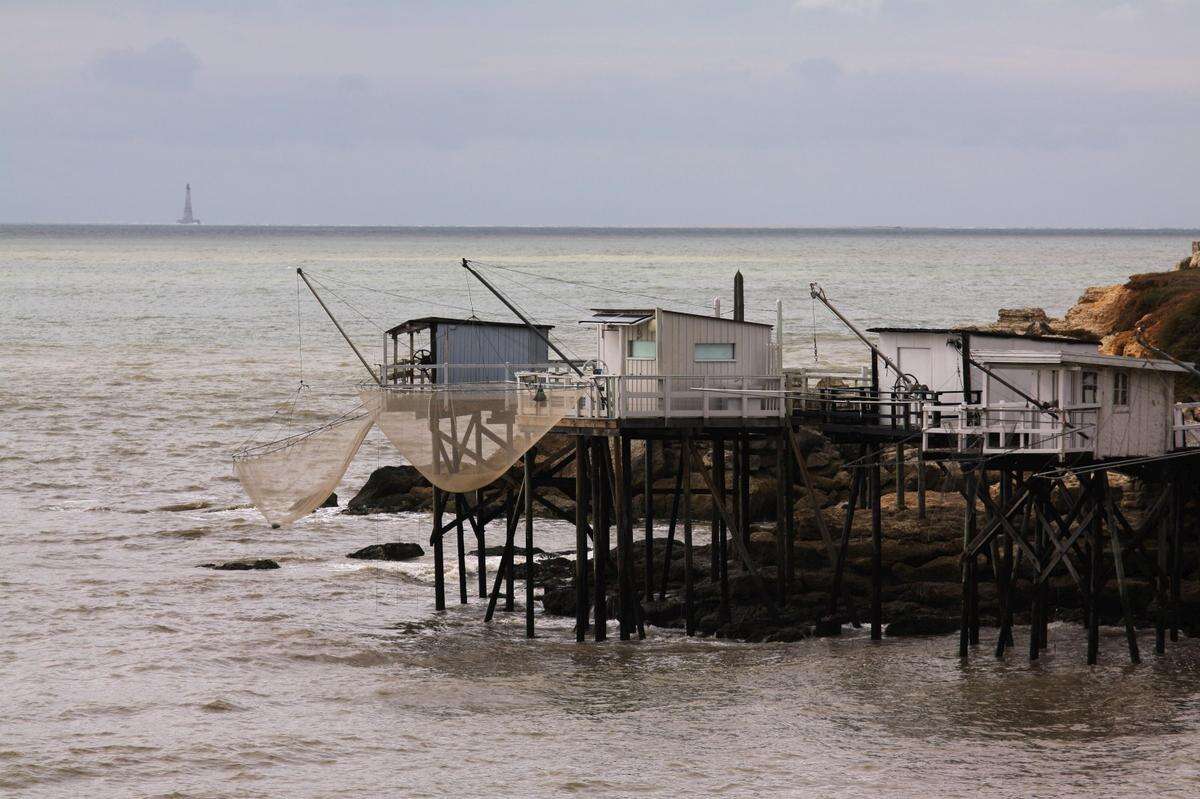 Balade en quinze images dans le parc naturel marin de l’estuaire de la Gironde et de la mer des Pertuis