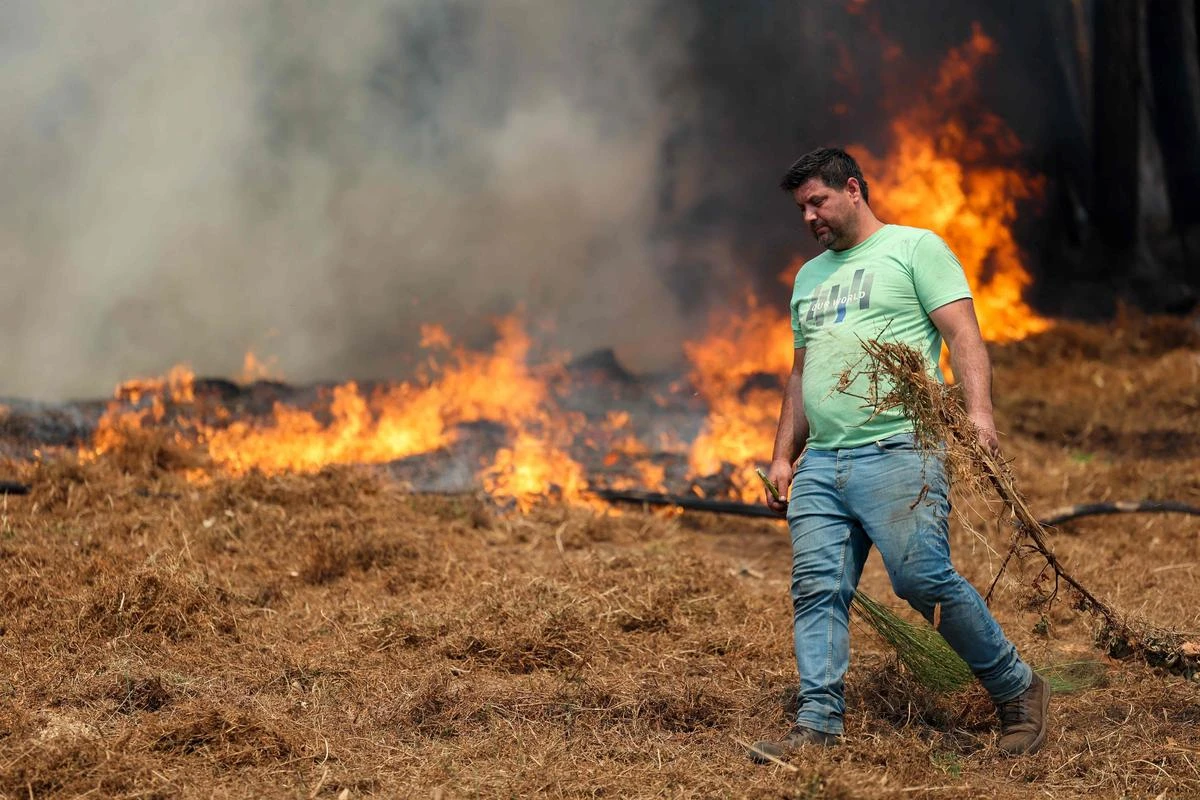 « La semaine prochaine sera difficile » : le Portugal se prépare à une vague de chaleur avec des risques d’incendies