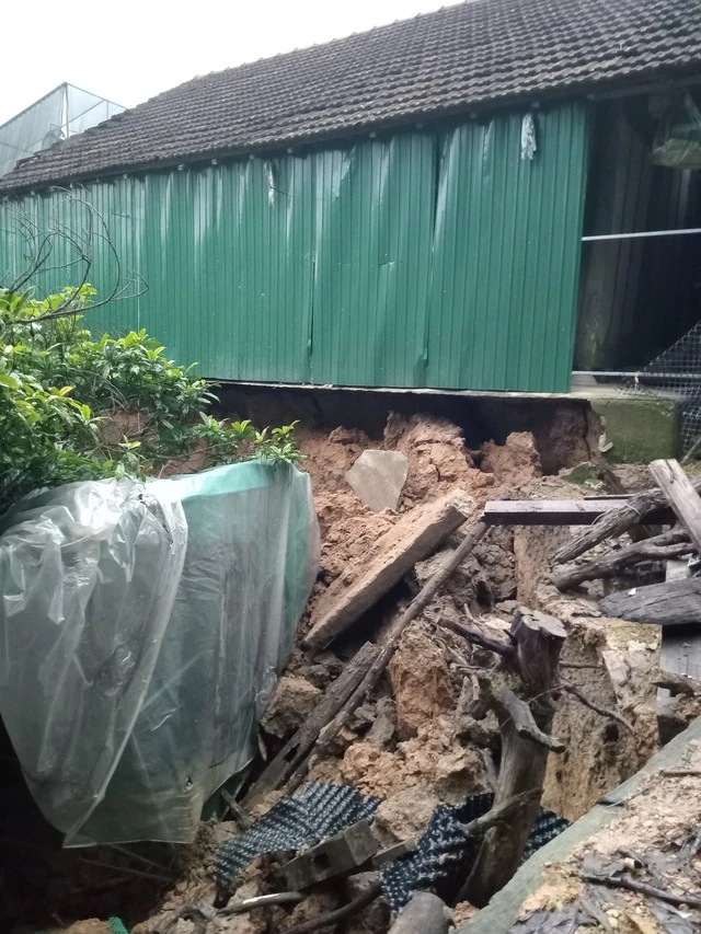 Điều tra nguyên nhân sụt lún đất bất thường tại Hà Tĩnh