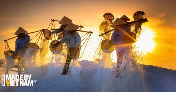 Từng chu du 50 quốc gia, du khách Nga vẫn phải thốt lên: Suýt chút nữa bỏ lỡ một khu nghỉ dưỡng tuyệt vời ở Việt Nam