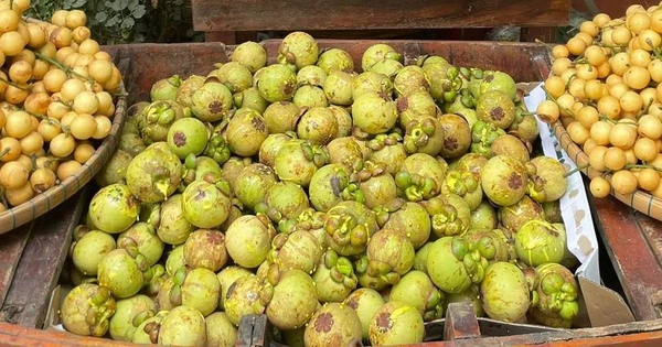 Măng cụt gọt sẵn vẫn đắt đỏ dù món gỏi gà măng cụt hết 