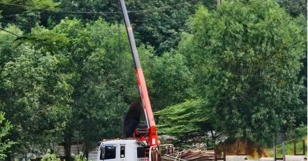 TP HCM: Xe cẩu bị phóng điện khiến 2 người thương vong