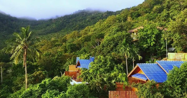 Bỏ 20 tỷ mua biệt thự, 6 năm sau giá tăng hơn 40 tỷ, người đàn ông nhận ra: 
