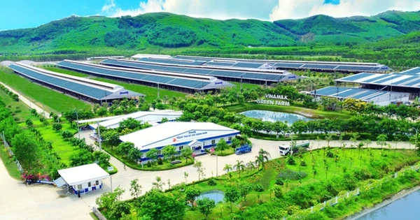 Những thương hiệu đi cùng năm tháng