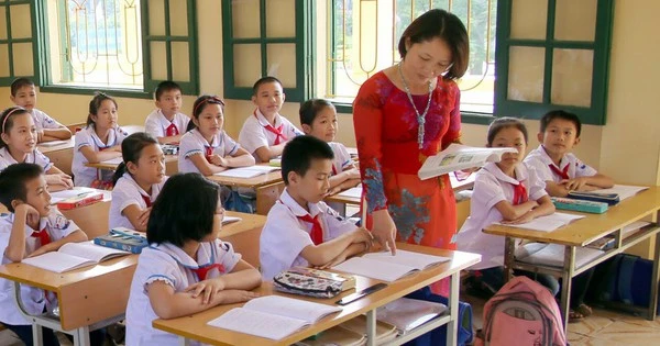 Bảng lương của giáo viên tiểu học mới nhất năm 2025