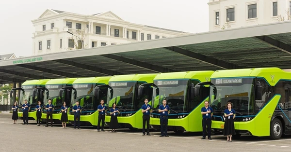 Doanh nghiệp vận tải ở tỉnh lớn nhất Việt Nam đặt mua 300 xe bus điện và 1.000 ô tô điện của tỷ phú Phạm Nhật Vượng