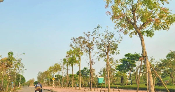 Quảng Bình: Cán bộ bị kỷ luật từ 2020 đến nay sẽ không được bổ nhiệm cao hơn
