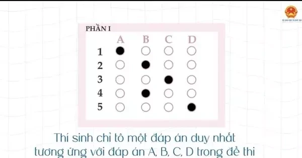 Bộ GD&ĐT hướng dẫn trả lời trắc nghiệm, tránh lỗi sai mất điểm thi tốt nghiệp THPT