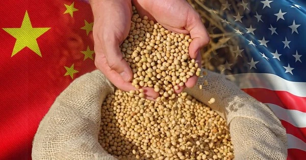 Trung Quốc dỡ bỏ một phần thuế trả đũa đối với nông sản Mỹ, nhưng vẫn giữ thuế 13% với đậu tương