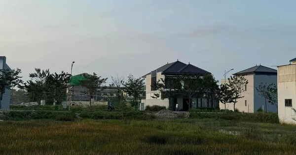 Mua đất quê 1.200m2 từ thời giá chỉ 500.000 đồng, người phụ nữ vui mừng: Vừa rao bán 6,5 tỷ đồng đã có người mua ngay