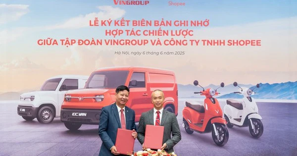 Tỷ phú Phạm Nhật Vượng bắt tay tập đoàn 200 tỷ USD chính thức gia nhập thị trường mua sắm online