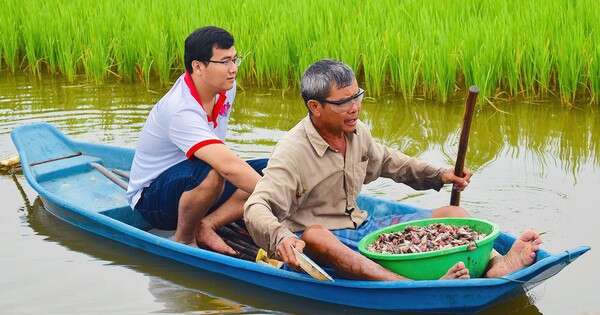 25 tuổi bỏ việc văn phòng, thạc sĩ Luật rủ nhóm bạn thân về quê trồng lúa hữu cơ ST25 “chuẩn 4 sao”, kêu gọi hàng chục nông dân là cô dì chú bác, xóm giềng lập Hợp tác xã