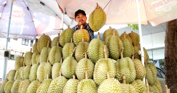 'Hàng xóm' của Việt Nam vừa chính thức gia nhập thị trường sầu riêng Trung Quốc: Quan chức gọi đây là 'thời khắc lịch sử', sản lượng ra sao so với các đối thủ?