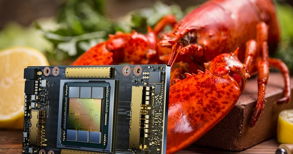 Kinh ngạc cách thức để tuồn chip AI vào Trung Quốc: Tận dụng cả tôm hùm sống để giấu GPU bên trong