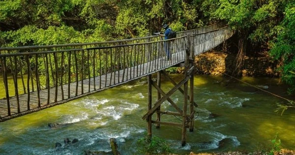 Sau sáp nhập, đây là xã lớn nhất Việt Nam, diện tích gần bằng nửa tỉnh Hưng Yên