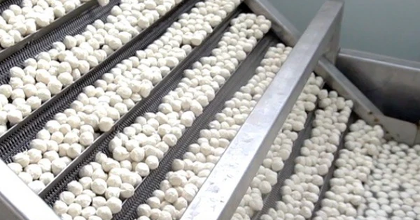 Một mặt hàng ‘ngon bổ rẻ’ của Việt Nam được Thái Lan, Hàn Quốc cực kỳ ưa chuộng: Xuất khẩu tăng phi mã kể từ đầu năm, nhu cầu tăng mạnh từ Á đến Âu
