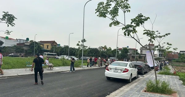 Khách đi ô tô sang về làng quê Hưng Yên hỏi mua 5 lô đất, trả giá 20 tỷ đồng: Chủ nhà ngỡ ngàng, giá cao những vẫn chưa dám bán vì sợ hớ