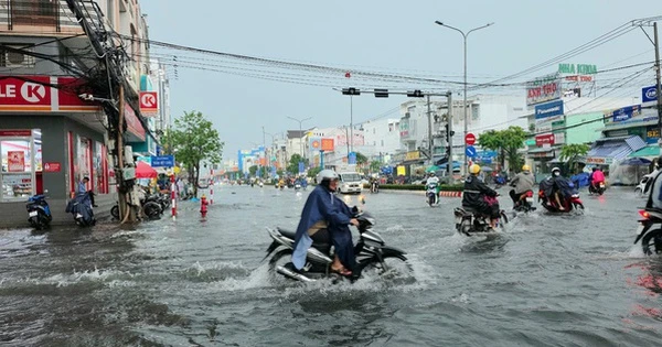Trăn trở việc ngập nước, Chủ tịch Cần Thơ treo thưởng 50 triệu đồng cho ý tưởng chống ngập hiệu quả