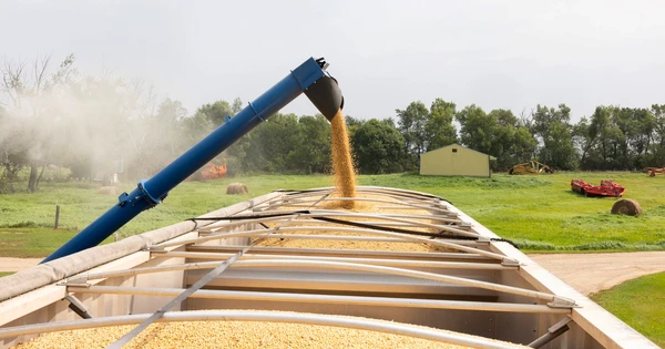 Một ngành của Mỹ khủng hoảng nghiêm trọng sau khi quốc gia BRICS cắt đứt mọi đơn hàng: Là khách sộp nhập 25 tấn/năm, giúp Washington thu về hàng chục tỷ USD