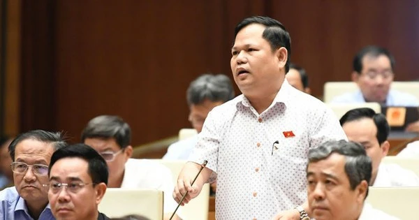 Ngành điện rất thua lỗ, sao vẫn cứ độc quyền?