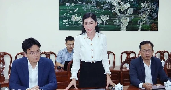 Tập đoàn của ông Johnathan Hạnh Nguyễn muốn đầu tư khu thương mại tự do 8.000 hecta ở gần sân bay Long Thành