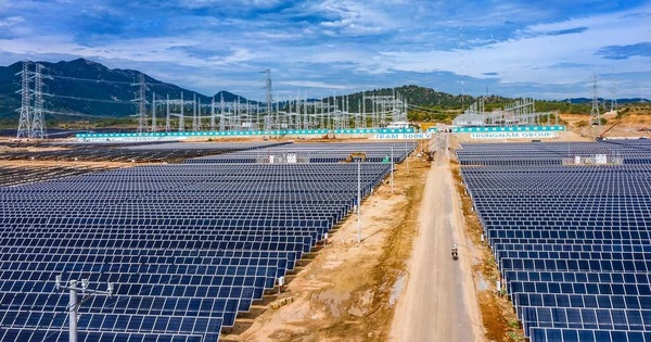 'Ông trùm' năng lượng tái tạo Trung Nam Group hồi phục mạnh trong 6T2024, nợ ngân hàng và trái phiếu gần 44.000 tỷ đồng