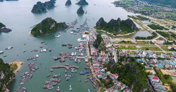 Hàng chục cán bộ ở huyện Vân Đồn xin nghỉ hưu sớm