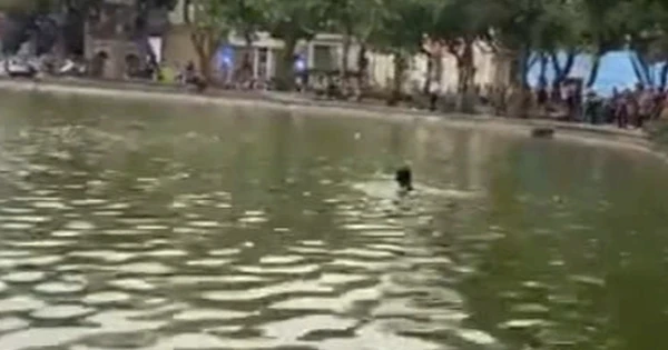 Điều tra vụ cô gái lội xuống hồ Hoàn Kiếm tử vong